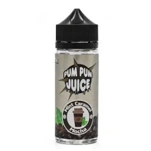 Pum Pum Mint Caramel Mocha 120ml E Liquid Juice